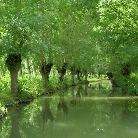 Campingplads Mobil-home Avec Terrasse A - Api-1-52-1328 *