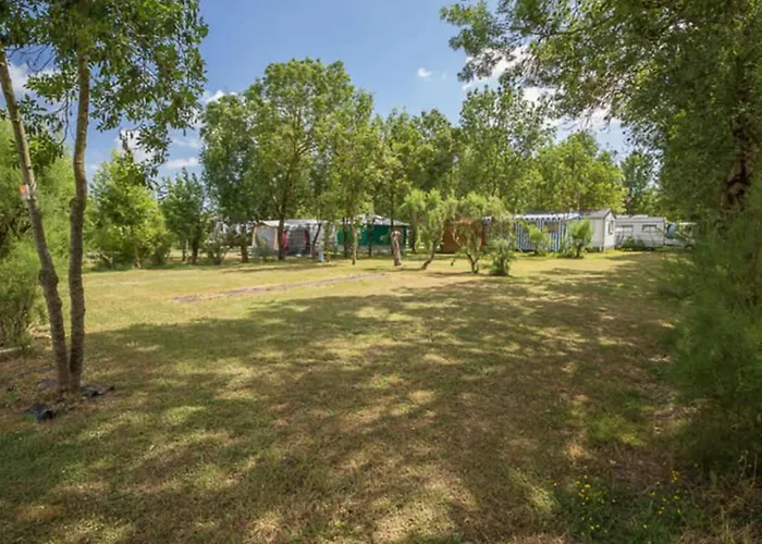 Mobil-home Avec Terrasse A - Api-1-52-1328 Kemp *