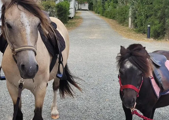 Campingplatz Mobil-home Avec Terrasse A - Api-1-52-1328 Puyravault (Vendee)