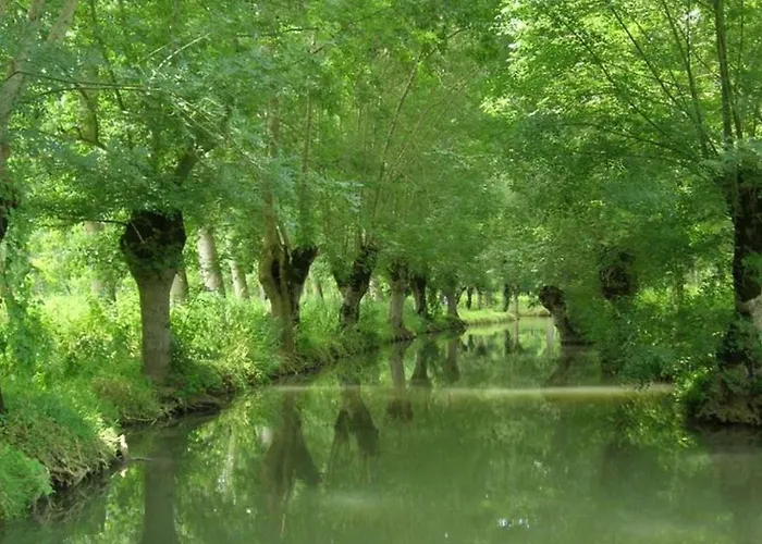 Kemp Mobil-home Avec Terrasse A - Api-1-52-1328 *